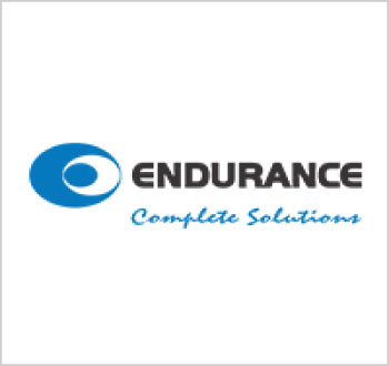 Endurance Group